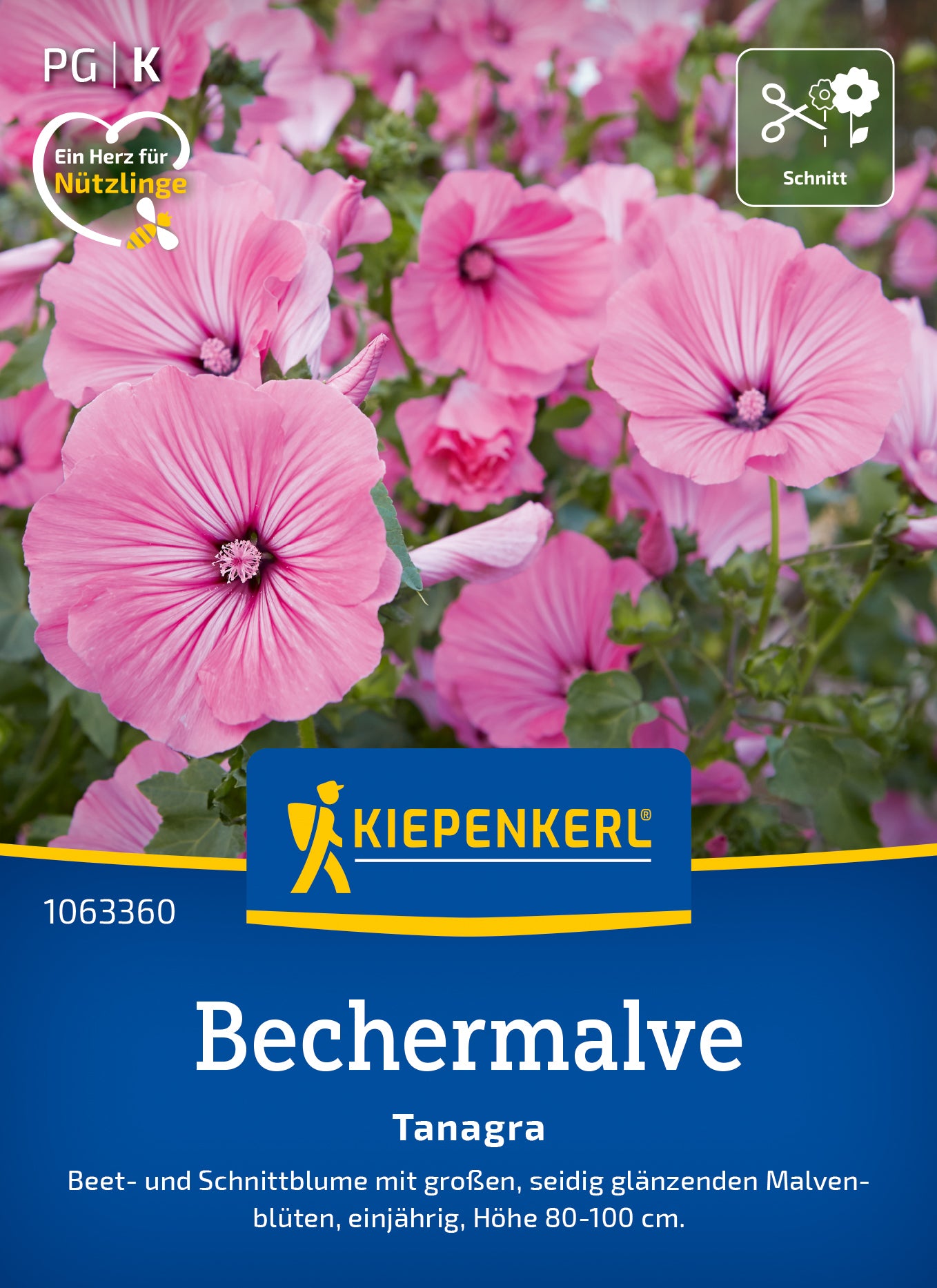  Bechermalve Tanagra