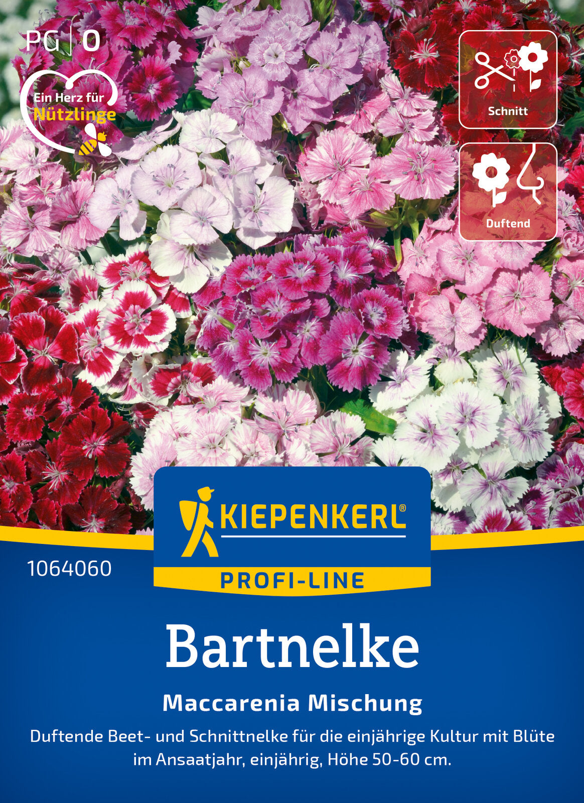  Bartnelke Maccarenia Mischung