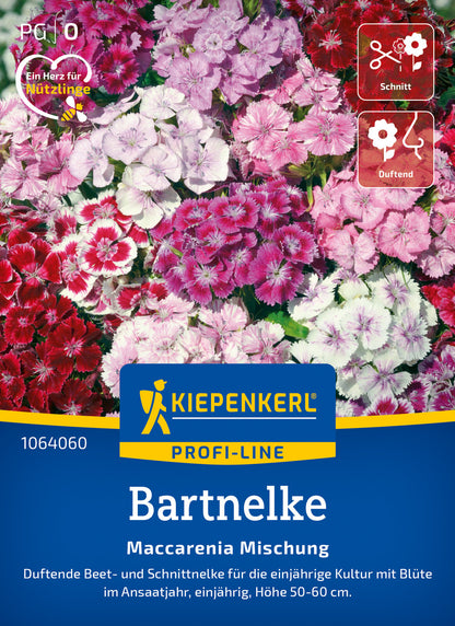  Bartnelke Maccarenia Mischung
