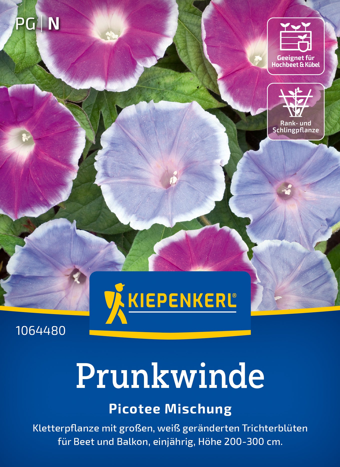  Prunkwinde Picotee Mischung