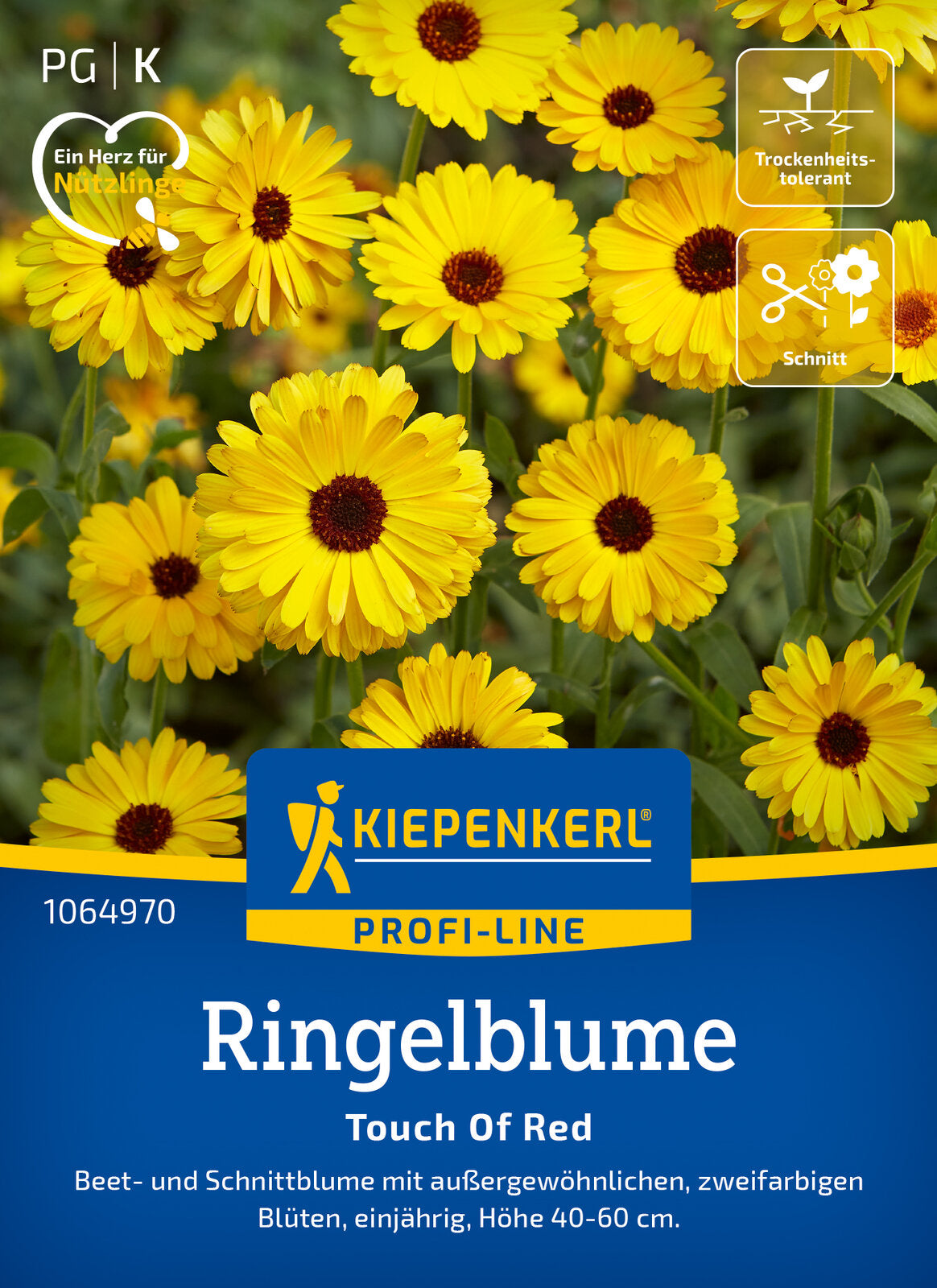  Ringelblume Touch Of Red