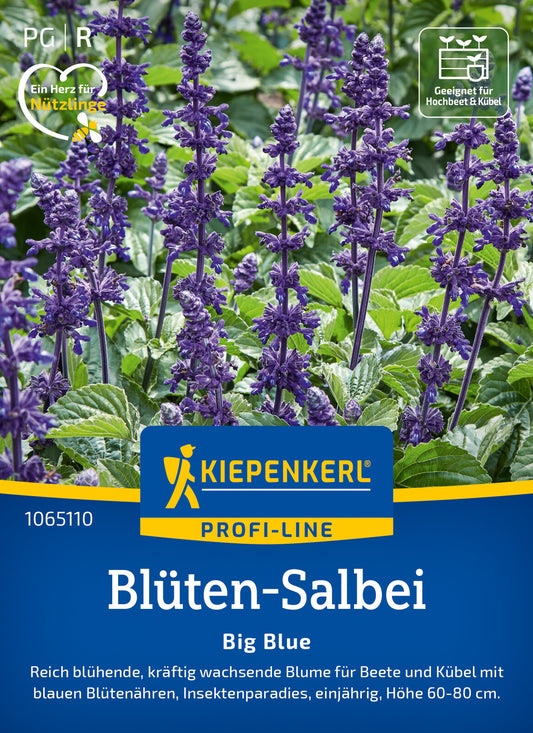  Blüten-Salbei Big Blue F1