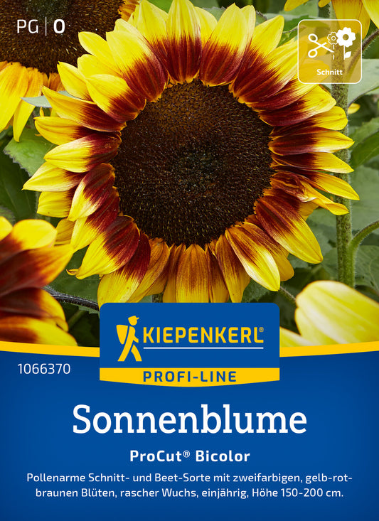  Sonnenblume Pro Cut Bicolor F1