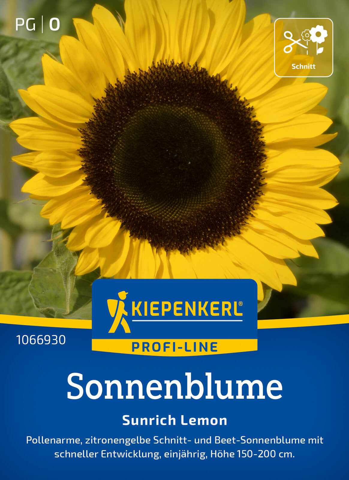  Sonnenblume Sunrich Lemon F1