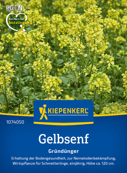  Gelbsenf Weißsamiger Senf (80 G)