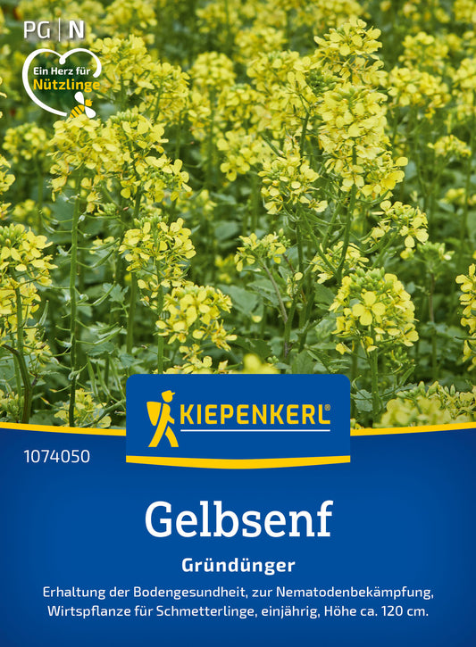  Gelbsenf Weißsamiger Senf (80 G)