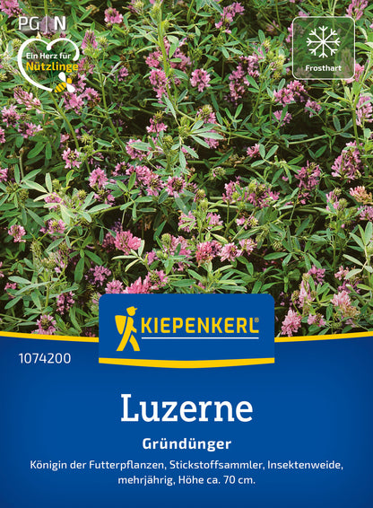 Luzerne Saat-Alfalfa (50 G)