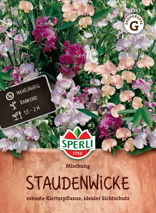  Staudenwicke Mischung