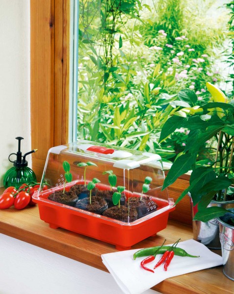  Zimmergewächshaus Veggie